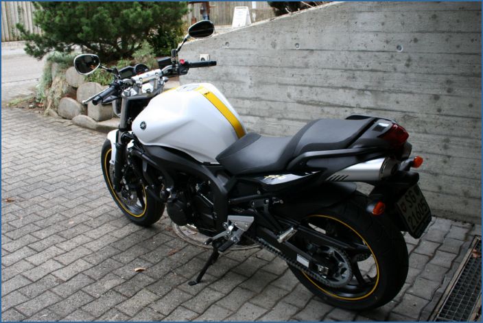 FZ6_1