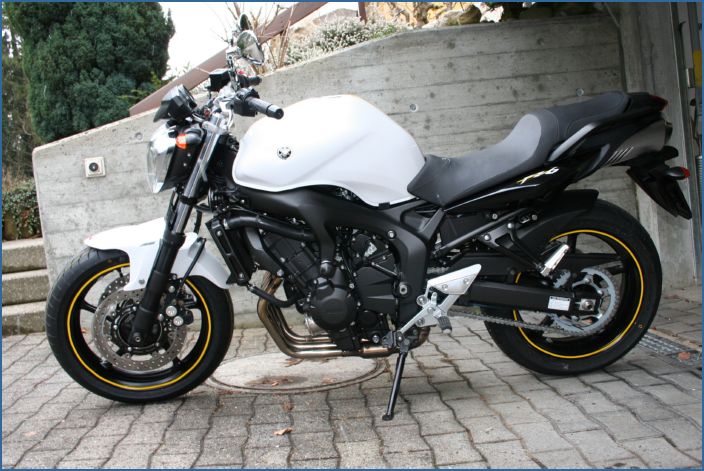 FZ6_5
